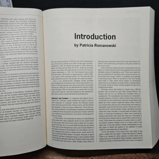 The Rolling Stone Encyclopedia of Rock & Roll รูปที่ 9