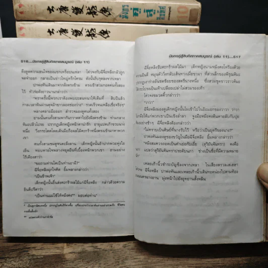 มังกรคู่สู้สิบทิศ ภาค 1 11 เล่มจบ - น.นพรัตน์ รูปที่ 13