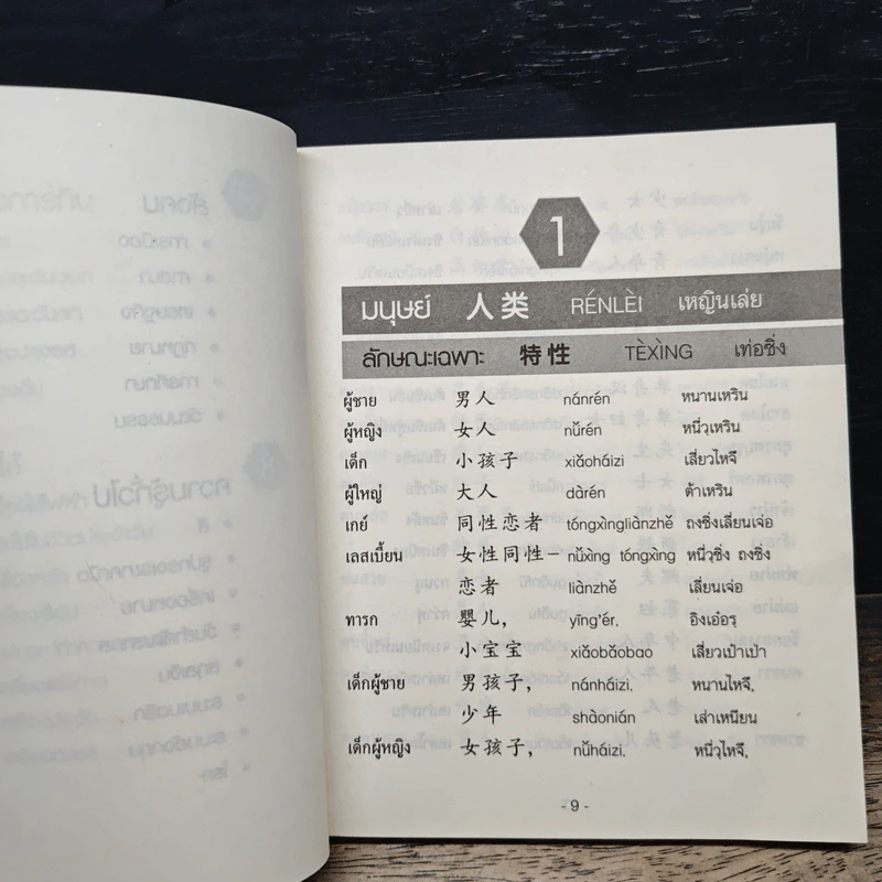 ศัพทานุกรม จีนกลาง - ตงจิง รูปที่ 9