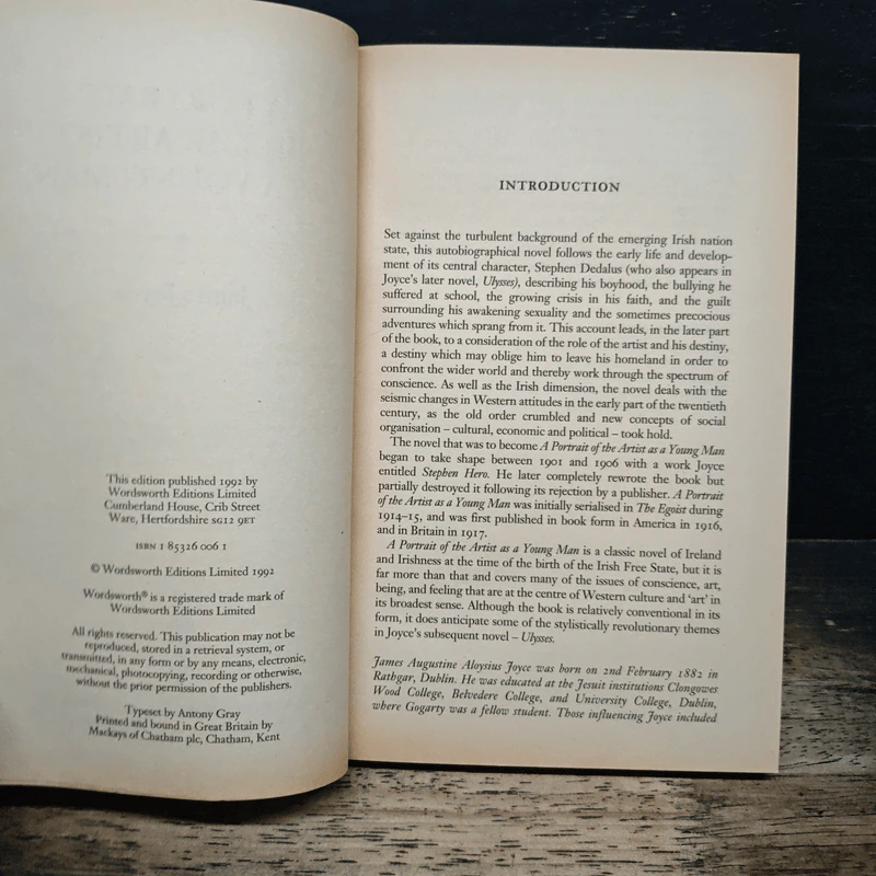 A Portrait of the Artist as a Young Man - James Joyce รูปที่ 6