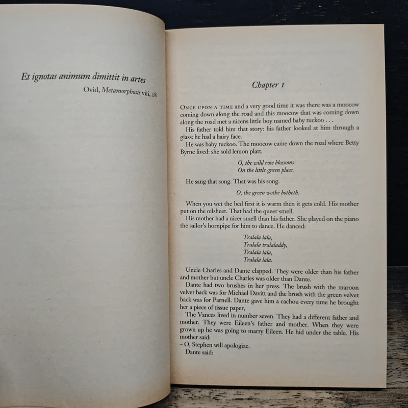 A Portrait of the Artist as a Young Man - James Joyce รูปที่ 7