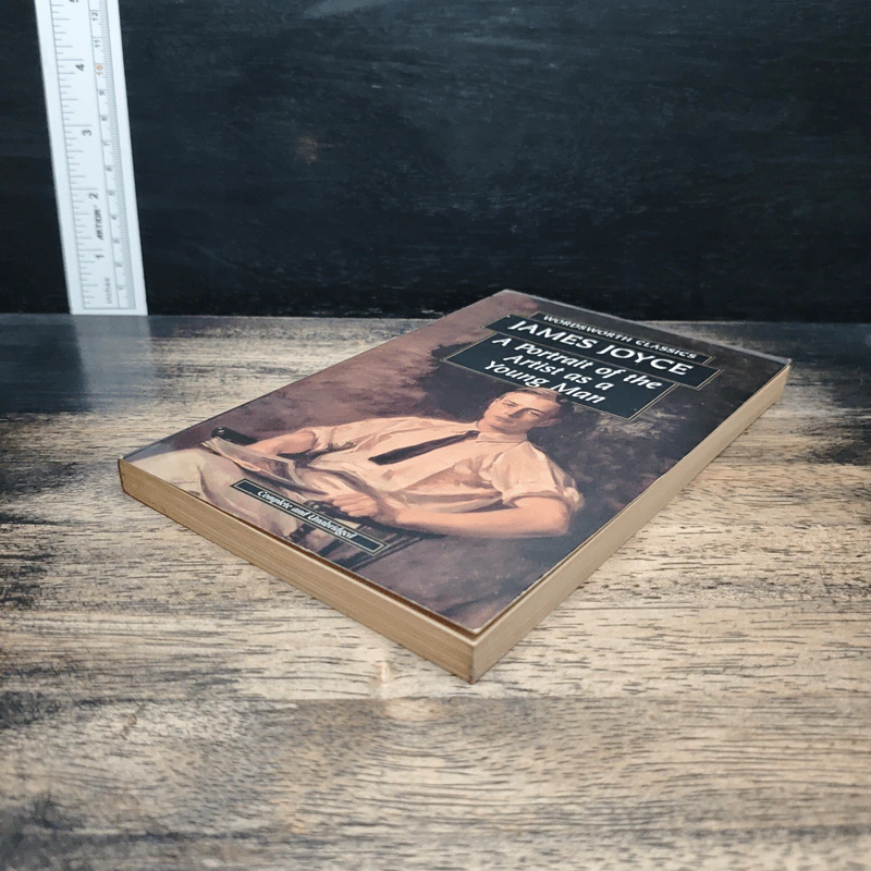 A Portrait of the Artist as a Young Man - James Joyce รูปที่ 4