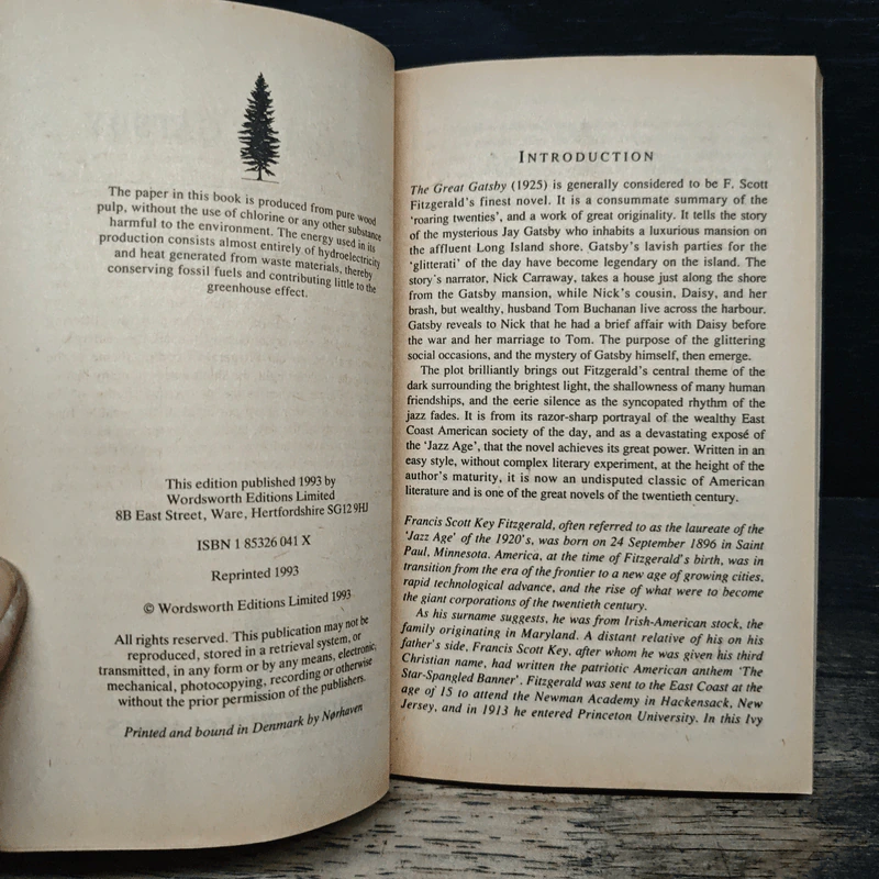 The Great Gatsby - F.Scott Fitzgerald รูปที่ 6