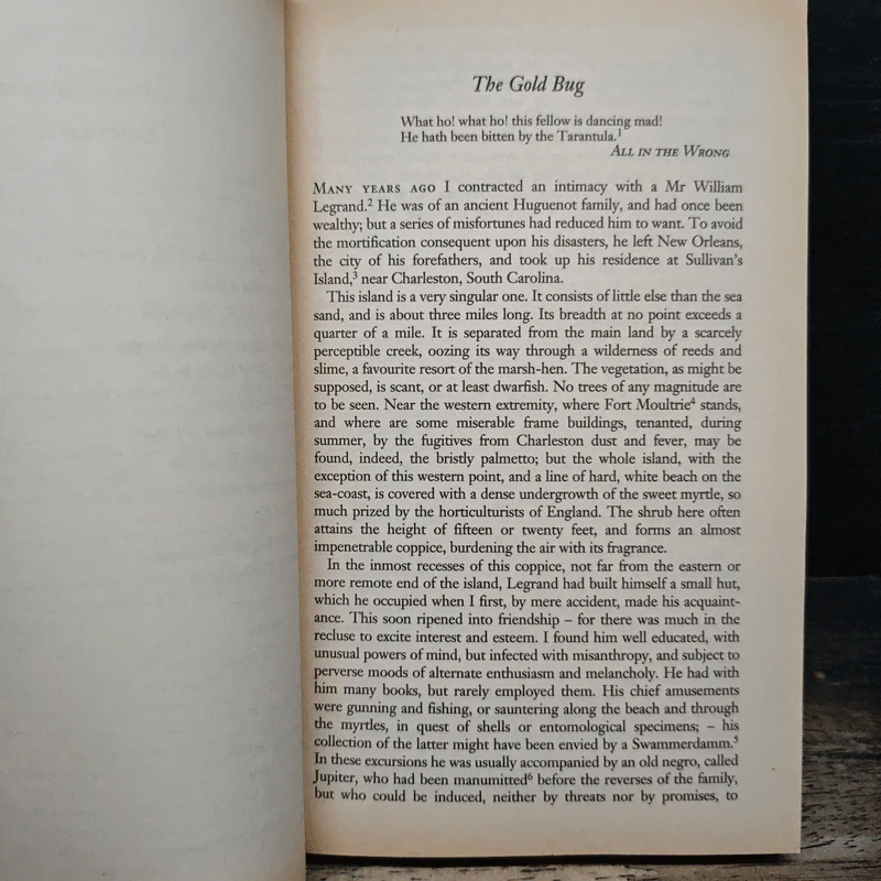 Tales of Mystery and Imagination - Edgar Allan Poe รูปที่ 8