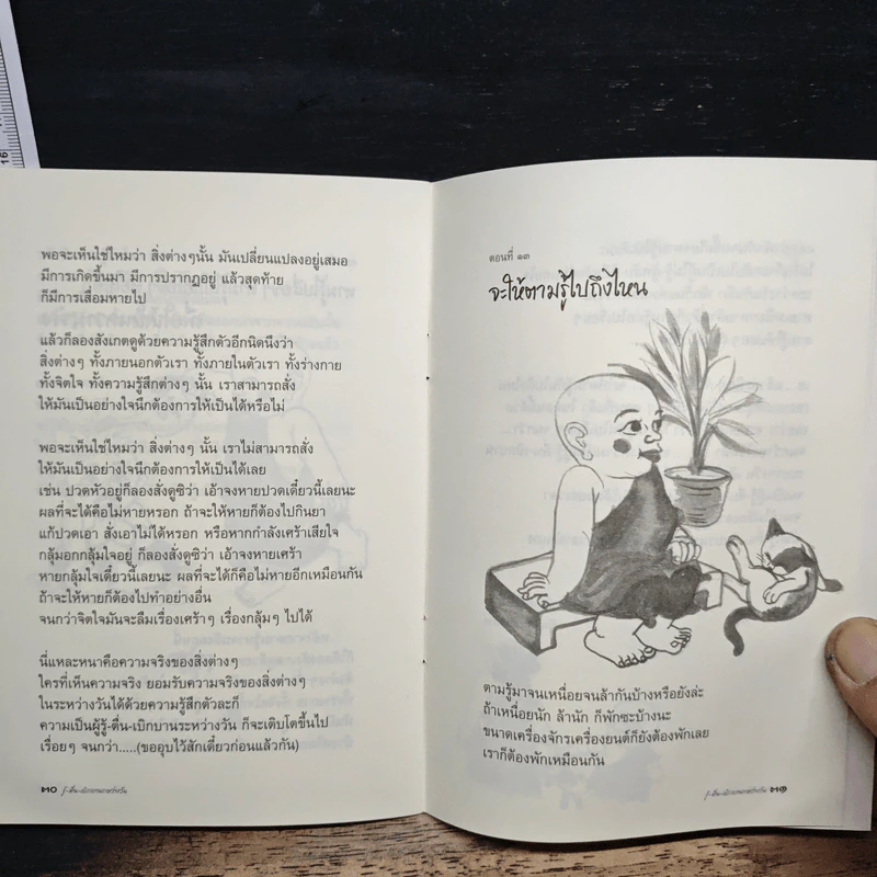 รู้-ตื่น-เบิกบาน ระหว่างวัน - สุรวัฒน์ เสรีวิวัฒนา รูปที่ 8