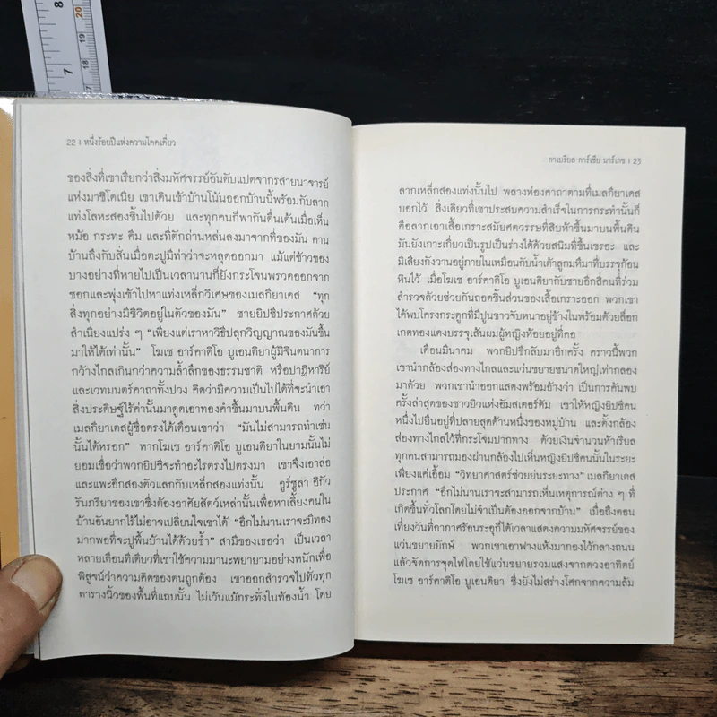หนึ่งร้อยปีแห่งความโดดเดี่ยว - กาเบรียล การ์เซีย มาร์เกซ, ปณิธาน รูปที่ 9