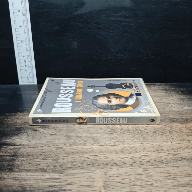 Introducing Rousseau: A Graphic Guide - Dave Robinson รูปที่ 3
