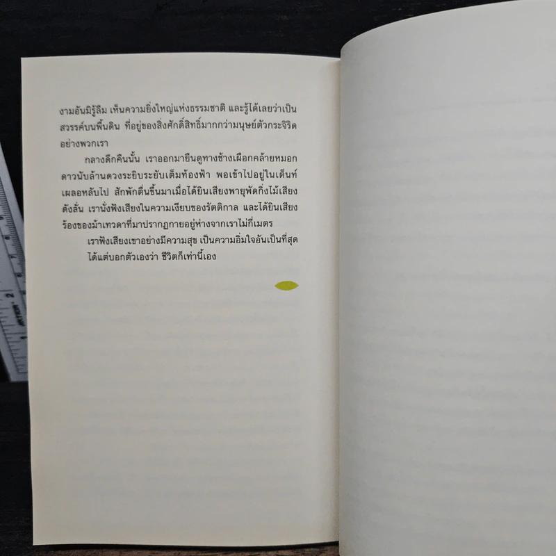 Wild Side ในนามของธรรมชาติ - วันชัย ตันติวิทยาพิทักษ์ รูปที่ 8