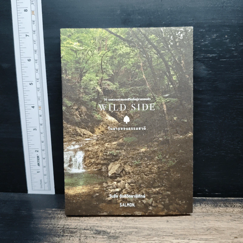 Wild Side ในนามของธรรมชาติ - วันชัย ตันติวิทยาพิทักษ์ รูปที่ 1