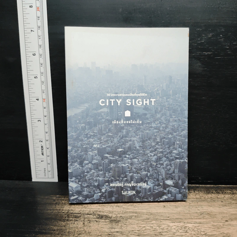 CITY SIGHT เมืองที่มองไม่เห็น - สรณรัชฎ์ กาญจนะวณิชย์ รูปที่ 1
