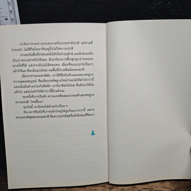 CITY SIGHT เมืองที่มองไม่เห็น - สรณรัชฎ์ กาญจนะวณิชย์ รูปที่ 8