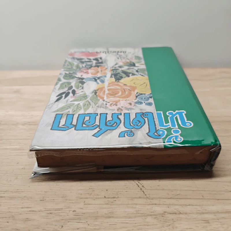 น้ำใต้ศอก - แม่อนงค์ รูปที่ 4