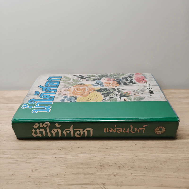 น้ำใต้ศอก - แม่อนงค์ รูปที่ 2