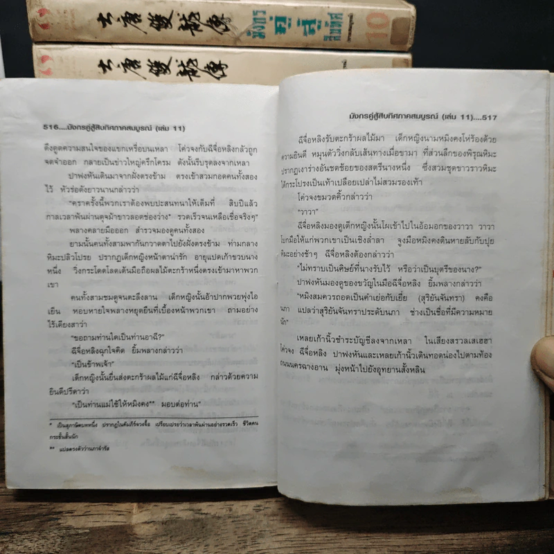 มังกรคู่สู้สิบทิศ ภาค 1 11 เล่มจบ - น.นพรัตน์ รูปที่ 13