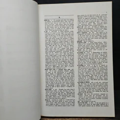 A Dictionary of American Idioms - Adam Makkai รูปที่ 8