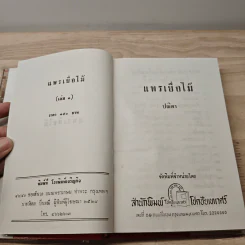 แพรเยื่อไม้ 2 เล่มจบ - ปณิดา รูปที่ 6
