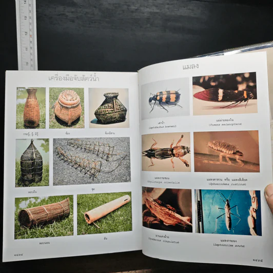 พจนานุกรมฉบับราชบัณฑิตยสถาน พ.ศ.2542 รูปที่ 8