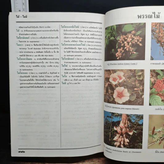 พจนานุกรม ฉบับราชบัณฑิตยสถาน พ.ศ.2525 รูปที่ 9