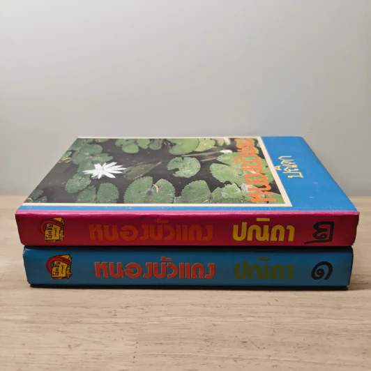 หนองบัวแดง 2 เล่มจบ - ปณิดา รูปที่ 3