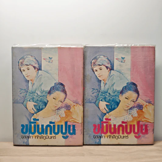 ขมิ้นกับปูน 2 เล่มจบ (ปกแข็ง) - จุลลดา ภักดีภูมินทร์ รูปที่ 1