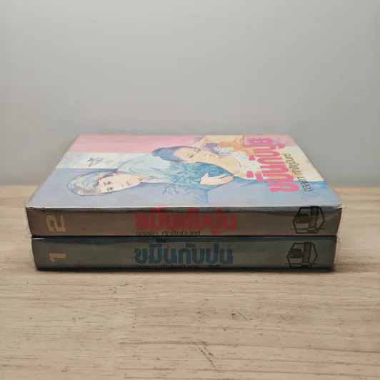 ขมิ้นกับปูน 2 เล่มจบ (ปกแข็ง) - จุลลดา ภักดีภูมินทร์ รูปที่ 3
