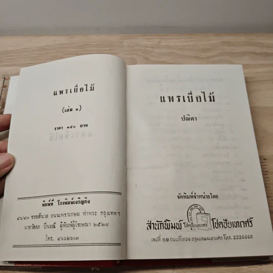 แพรเยื่อไม้ 2 เล่มจบ - ปณิดา รูปที่ 6