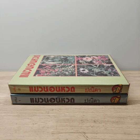 แมวนอนหวด 2 เล่มจบ - ปณิดา รูปที่ 3