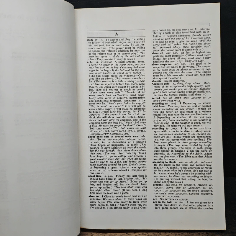 A Dictionary of American Idioms - Adam Makkai รูปที่ 8