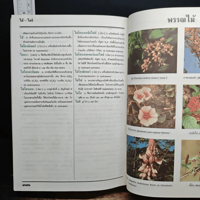 พจนานุกรม ฉบับราชบัณฑิตยสถาน พ.ศ.2525 รูปที่ 9