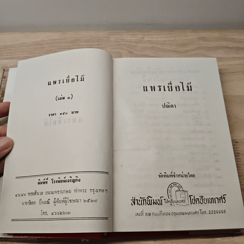 แพรเยื่อไม้ 2 เล่มจบ - ปณิดา รูปที่ 6