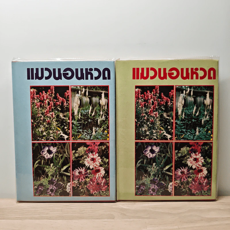แมวนอนหวด 2 เล่มจบ - ปณิดา รูปที่ 1