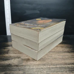 The Lord of the Rings ลอร์ด ออฟ เดอะ ริงส์ 3 เล่มจบ รูปที่ 3