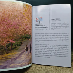 Dream Destinations 2 กาลครั้งนั้น...ความฝันผลิบาน - การท่องเที่ยวแห่งประเทศไทย รูปที่ 8