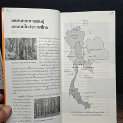 คู่มือดูนก - รุ่งโรจน์ จุกมงคล รูปที่ 8