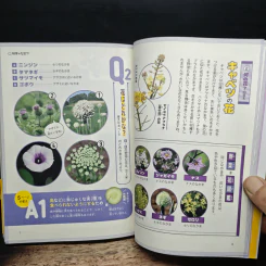 なぜ？どうして？科学のお話５年生 รูปที่ 9