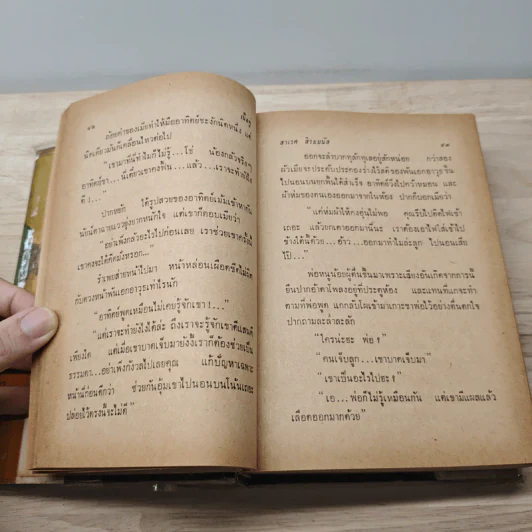 เนื้อคู่ - สาเรส ศิระมนัส รูปที่ 8