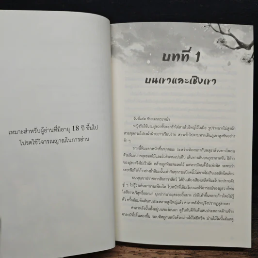 กระบี่เหมันต์ในป่าท้อ เล่ม 1 - ซีจื่อชวี่, Hongse รูปที่ 8