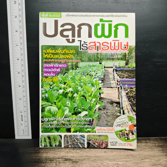 ปลูกผักไร้สารพิษ รูปที่ 1
