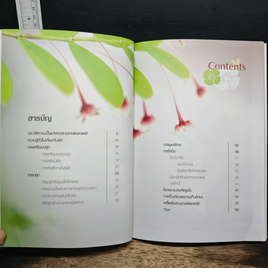 ปลูกผักไร้สารพิษ รูปที่ 7