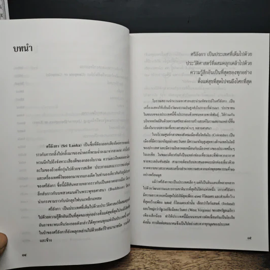 ศิลปะศรีลังกา - ปรีชา นุ่นสุข รูปที่ 8
