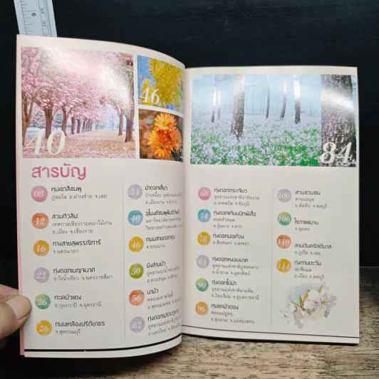 Dream Destinations 2 กาลครั้งนั้น...ความฝันผลิบาน - การท่องเที่ยวแห่งประเทศไทย รูปที่ 6