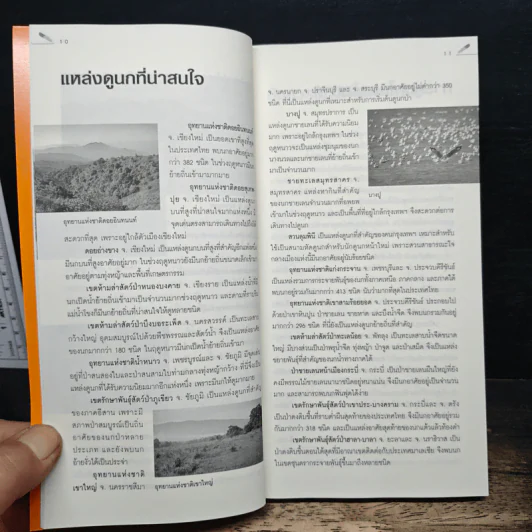 คู่มือดูนก - รุ่งโรจน์ จุกมงคล รูปที่ 9