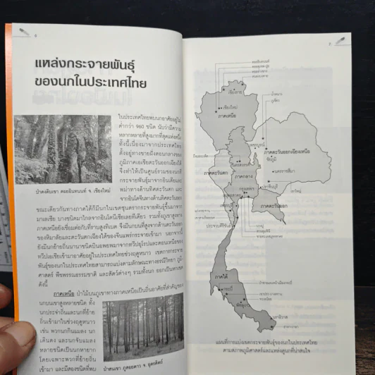 คู่มือดูนก - รุ่งโรจน์ จุกมงคล รูปที่ 8