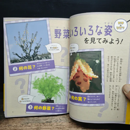 なぜ？どうして？科学のお話５年生 รูปที่ 7
