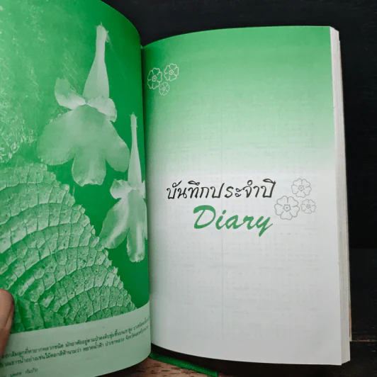สวนหลวงของเรา รูปที่ 12