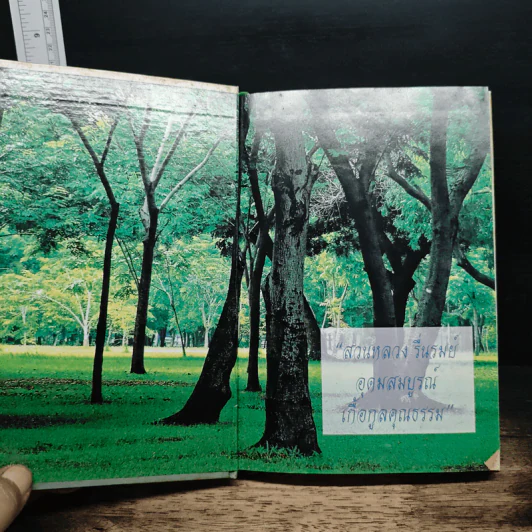 สวนหลวงของเรา รูปที่ 6
