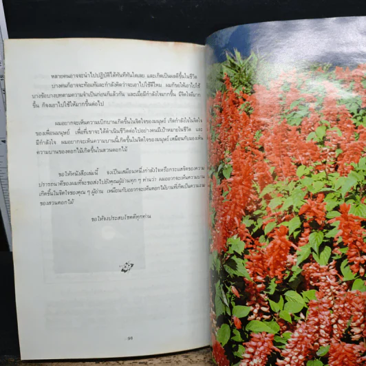 เพียงอยากเห็นดอกไม้บาน - จิตแพทย์วิทยา นาควัชระ รูปที่ 9