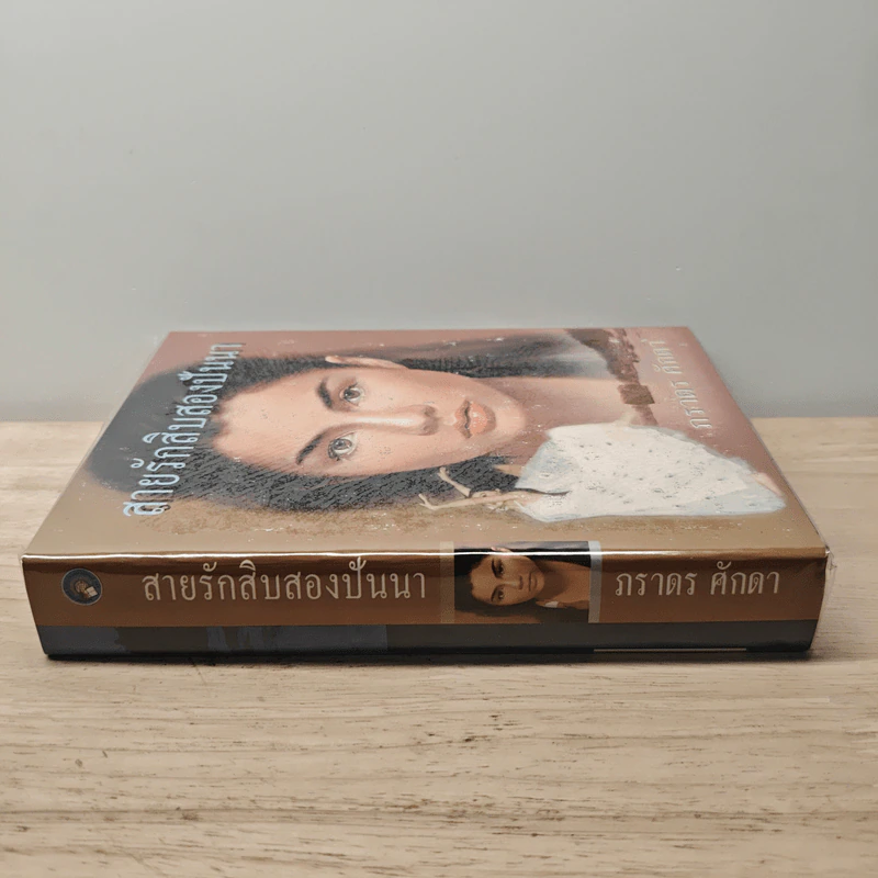 สายรักสิบสองปันนา - ภราดร ศักดา รูปที่ 2