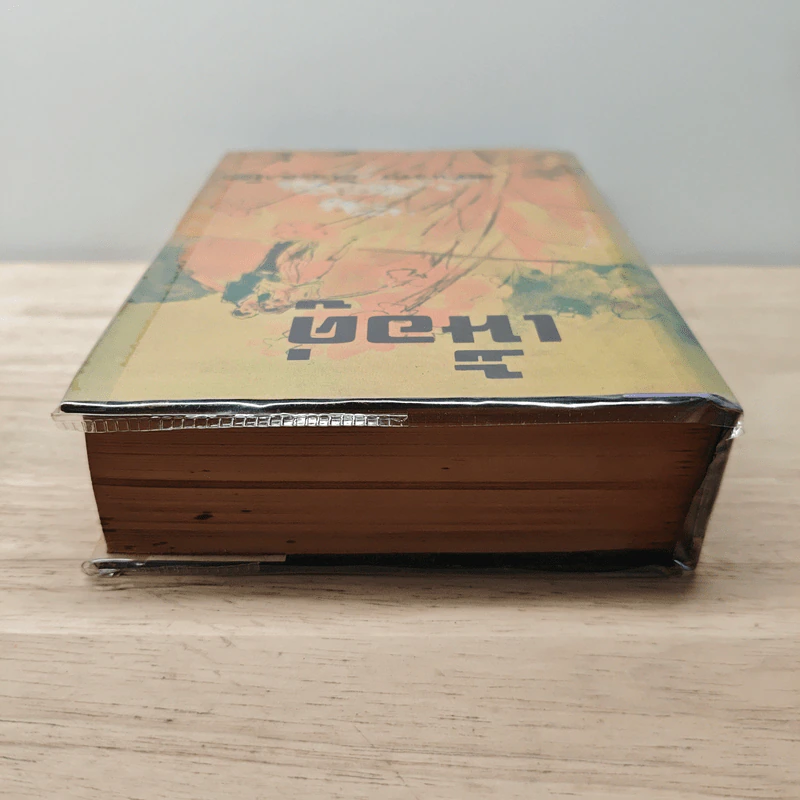 เนื้อคู่ - สาเรส ศิระมนัส รูปที่ 4