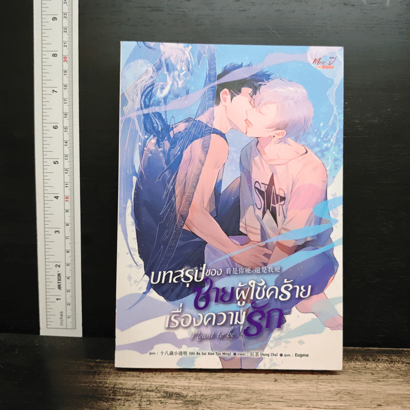 บทสรุปของชายผู้โชคร้ายเรื่องความรัก - Shi Ba Sui Xiao Tou Ming รูปที่ 1